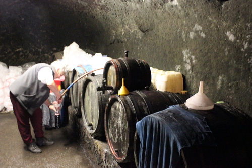 Buying a bottle of wine from a wine cave (the walls are literally covered in cushy black mold!)